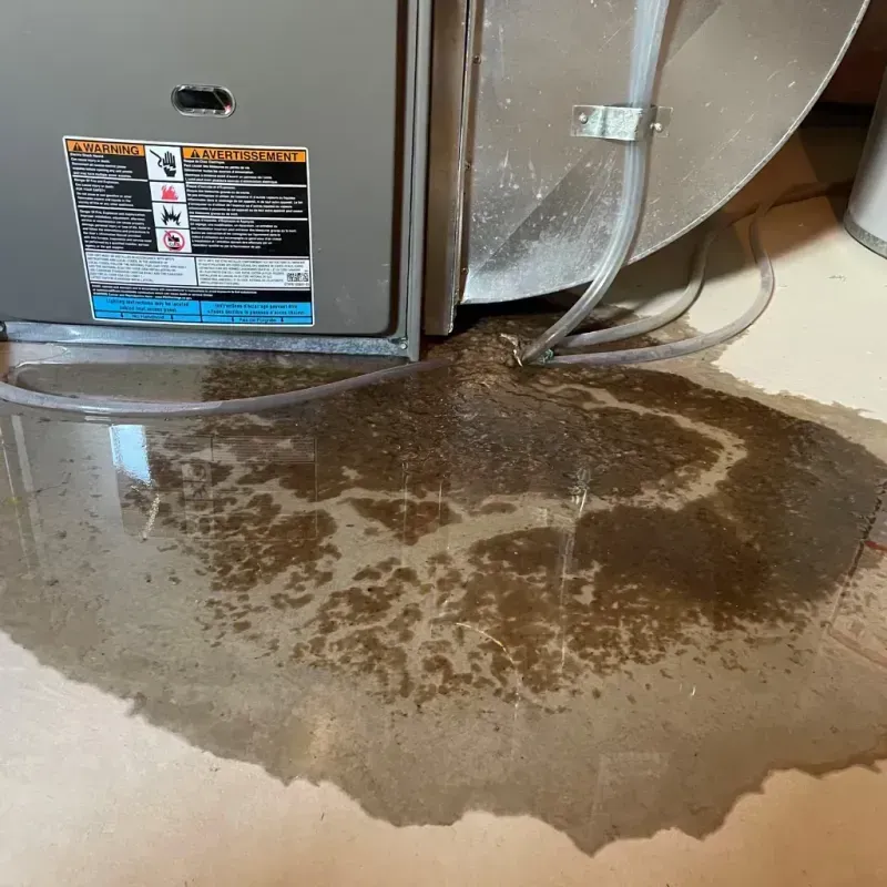 Appliance Leak Cleanup in Manson, WA